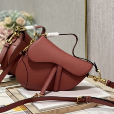 Christian Dior Saddle Bags